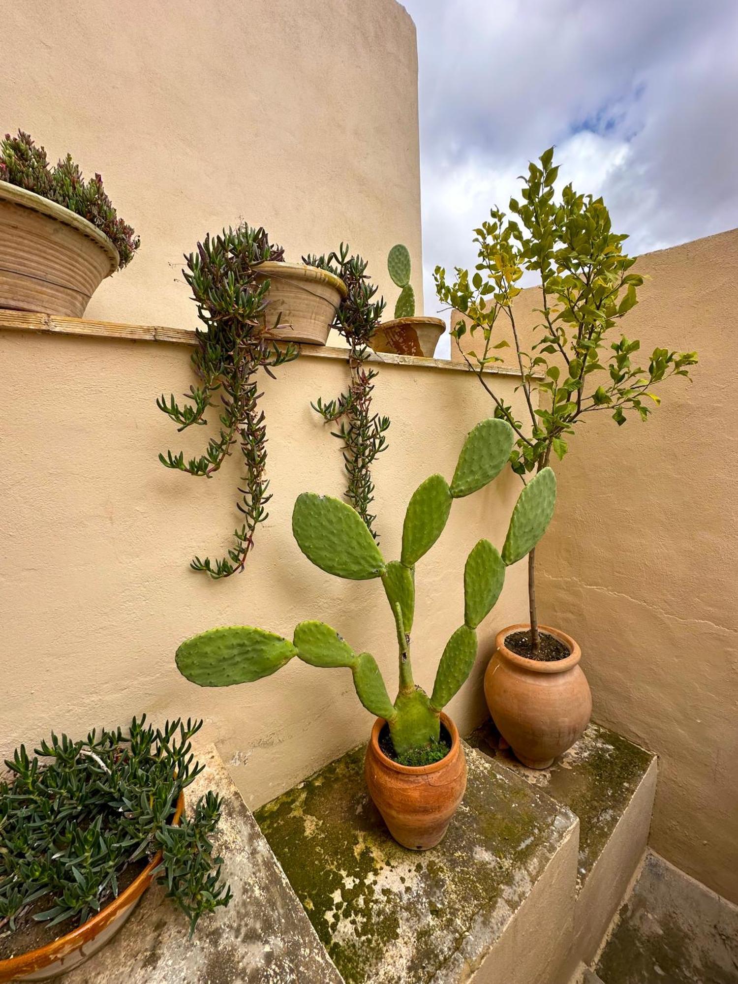 Casa Rural Del Juez Alcala del Jucar Exteriér fotografie